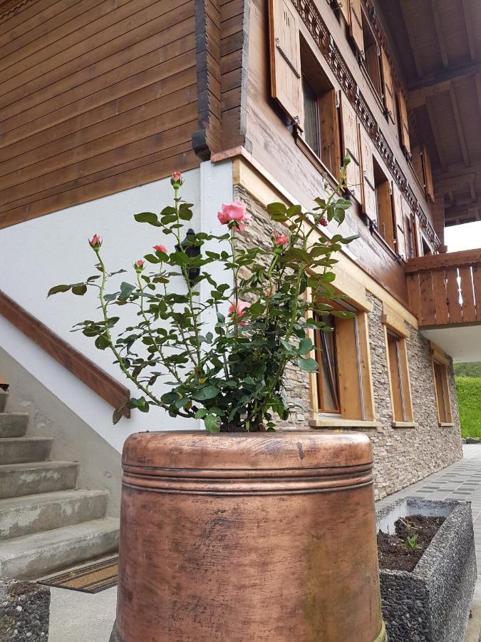 Chalet Grueneggli Адельбоден Экстерьер фото