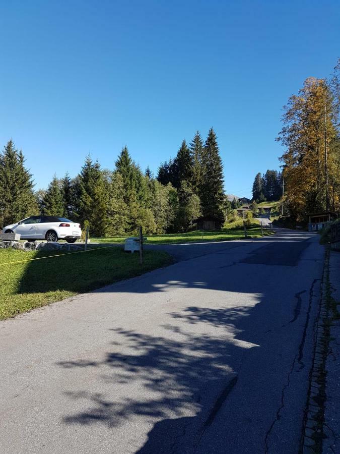 Chalet Grueneggli Адельбоден Экстерьер фото